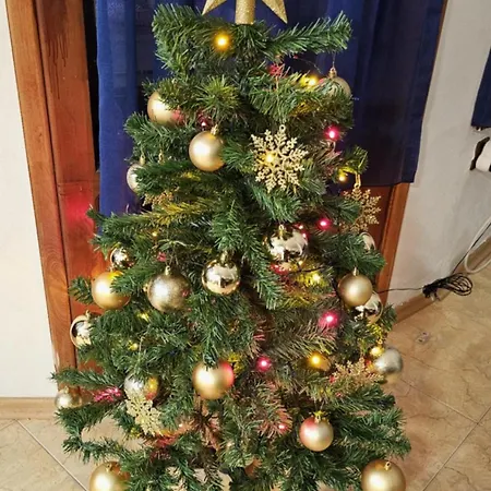 Afala Loft & Terrase - Heart Of דירה בורגאס