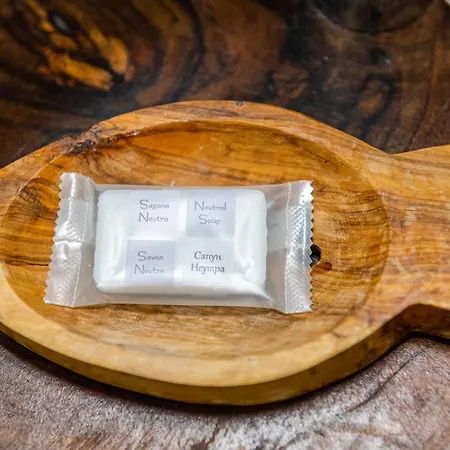 Daire Afala Loft & Terrase - Heart Of Burgaz