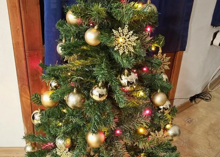 Afala Loft & Terrase - Heart Of Lejlighed Burgas City