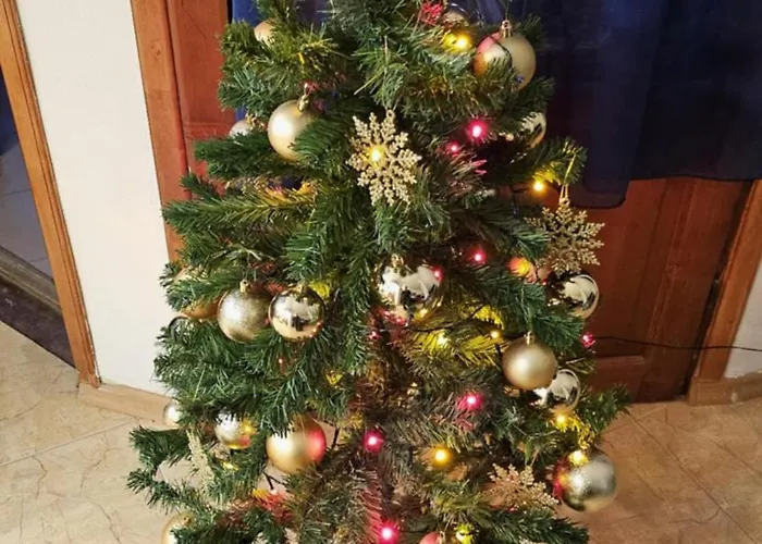 Lejlighed Afala Loft & Terrase - Heart Of Burgas City